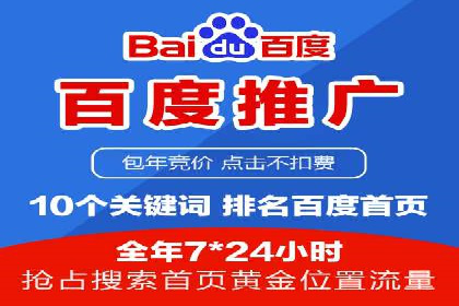 行业领先企业的SEM广告策略与效果分析